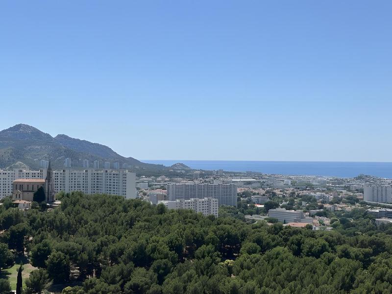 Beau T5 avec terrasse et vue mer - image 4