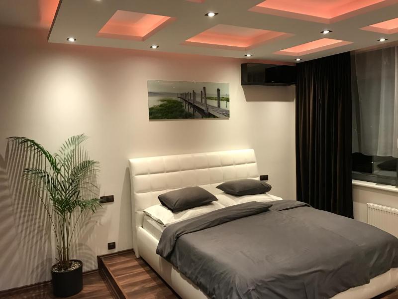 One-Bedroom Apartment image 2