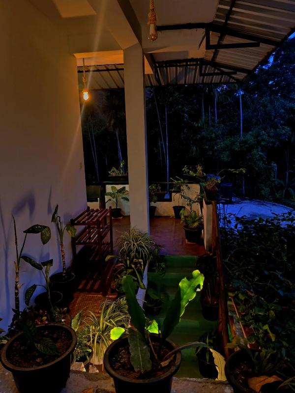 Beloved Paradise - image 26