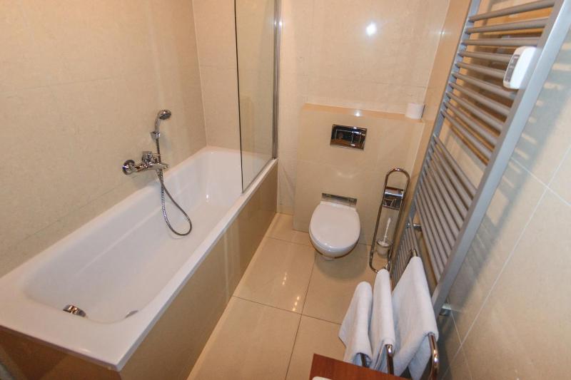 One-Bedroom Apartment image 3