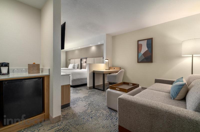 SpringHill Suites by Marriott Tampa Brandon - image 2