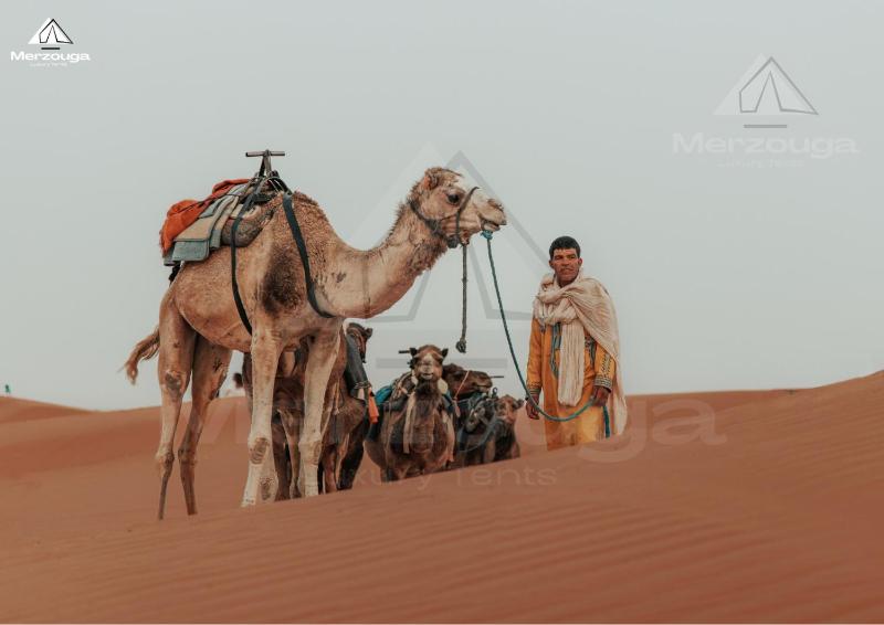 Merzouga Luxury Tents - image 31