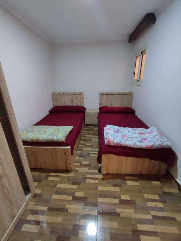 Olive Suites - image 11
