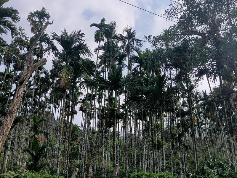 Samruddhi Farm House - image 13