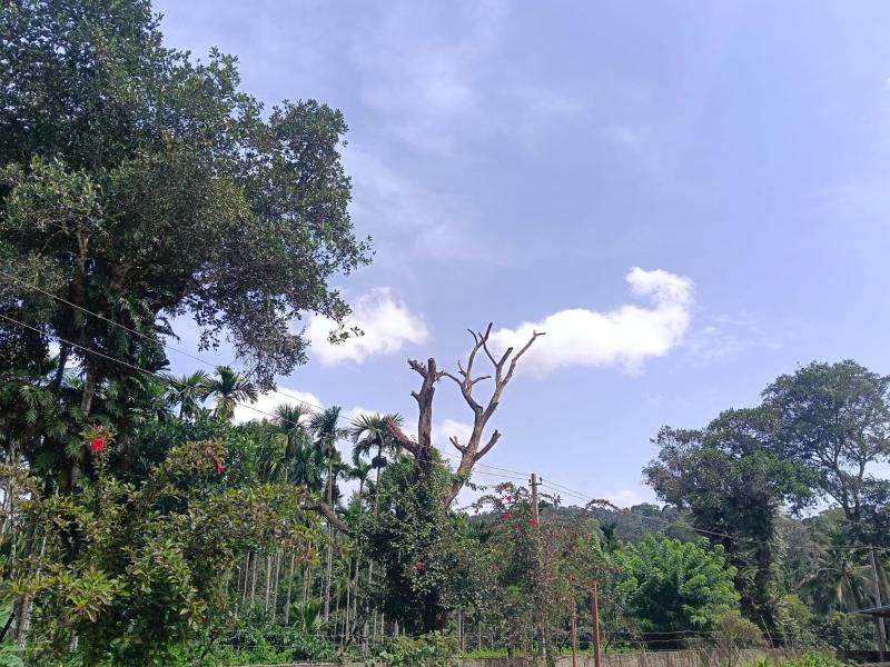 Samruddhi Farm House - image 18