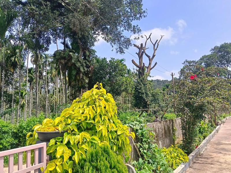 Samruddhi Farm House - image 7
