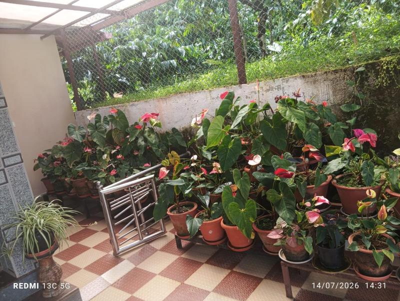 Samruddhi Farm House - image 14