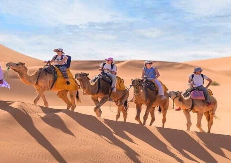 Camel Trekking Desert Camp - image 32