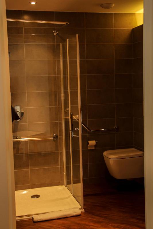 Double or Twin Room - Disability Access image 4