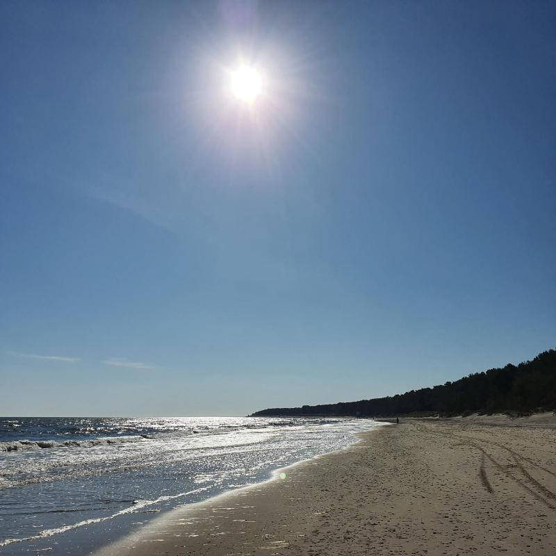 Küstenvilla stilvolle 3Zi FerienWhg mit Terrasse ruhig zentral strandnah 600m - image 19