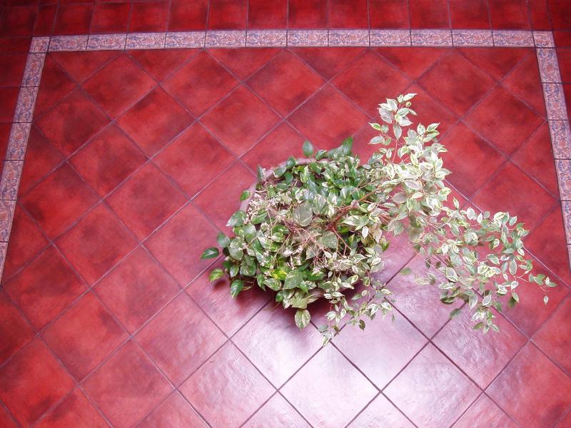 Suite image 4