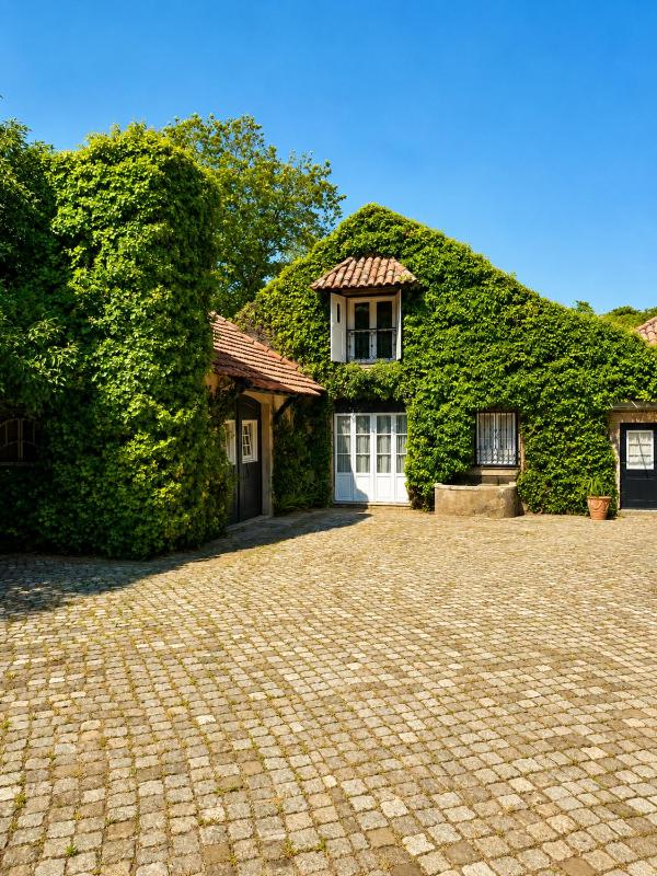 Quinta da Penalva - image 12