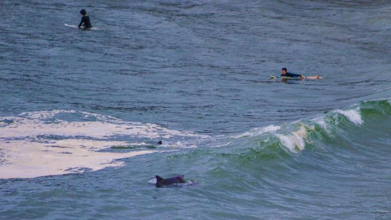 Craigmore On The Beach Unit 18 - Lifestyle Yamba - image 12