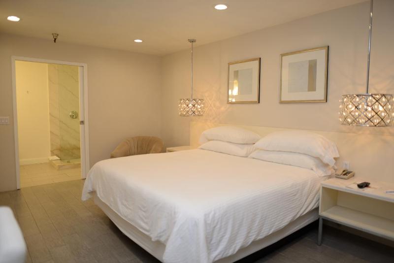 Deluxe Single Room image 4