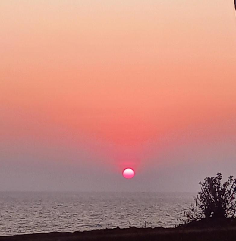 Varkala Vibes By East West Resorts - image 13
