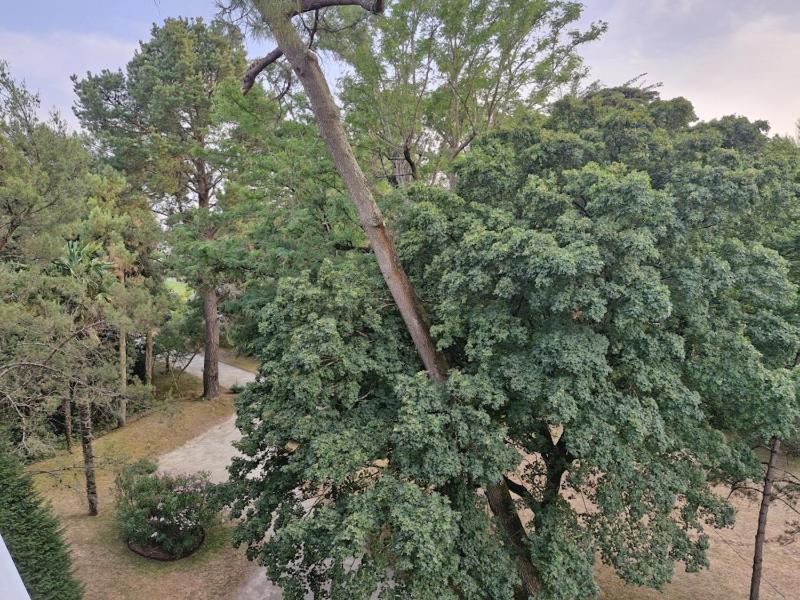 Appartement tout confort pour 4 à 250m de la plage - image 13