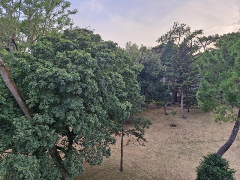 Appartement tout confort pour 4 à 250m de la plage - image 14