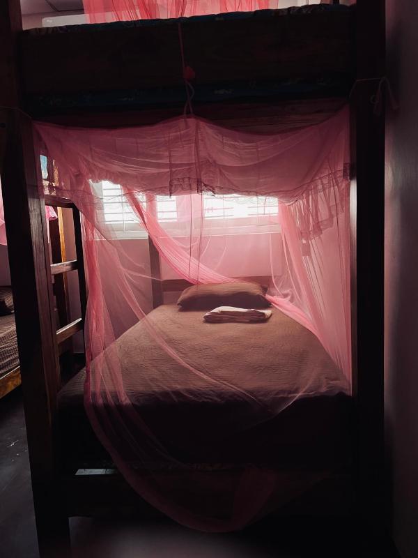 Lake Hostel Anuradhapura - image 2