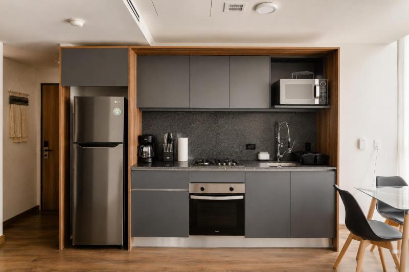 Furnished 2 Bedroom Apartment in Mexico City - image 10