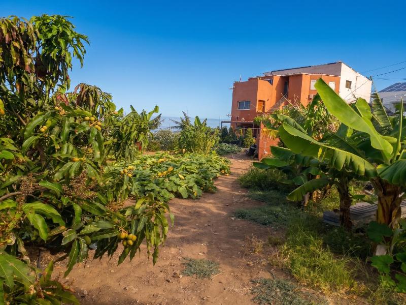 House with view and jacuzzi in Adeje - image 31