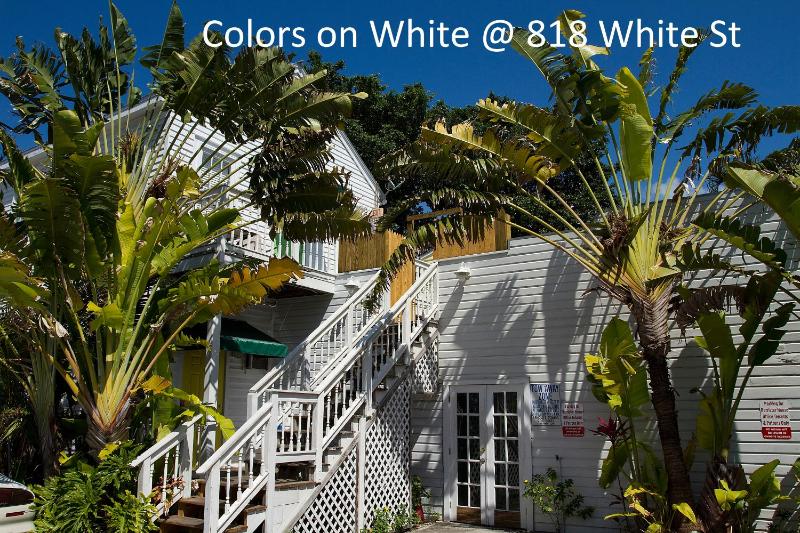 Colors on White - image 9
