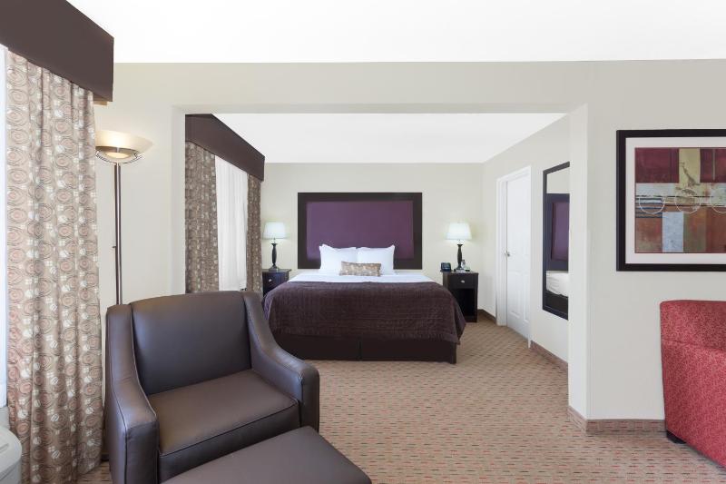 Deluxe King Suite with Sofa Bed - Non-Smoking image 4