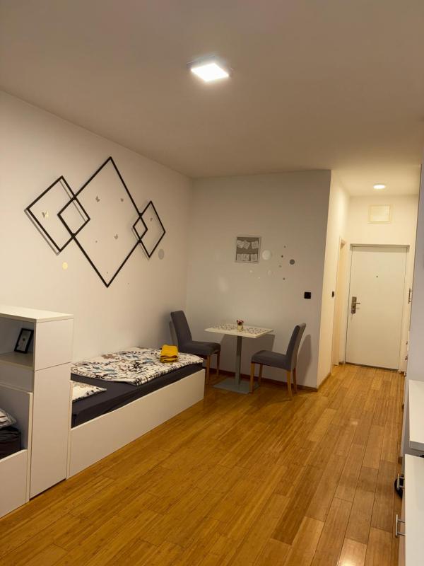 Offline City Apartment - image 8