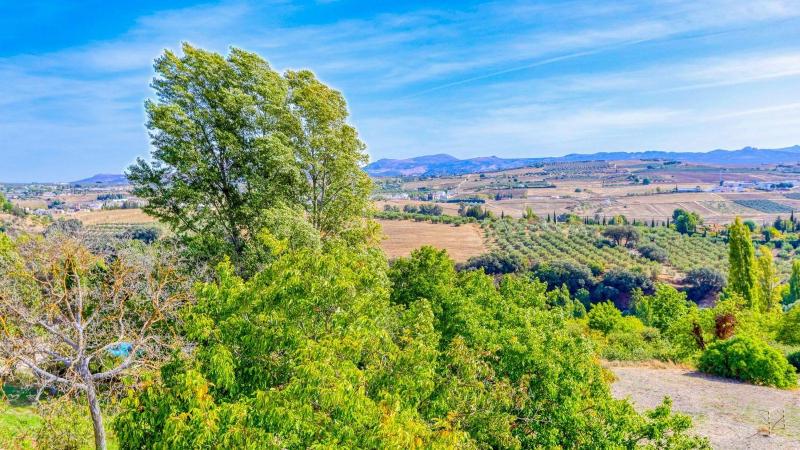 La Fresnea Ronda by Ruralidays - image 7