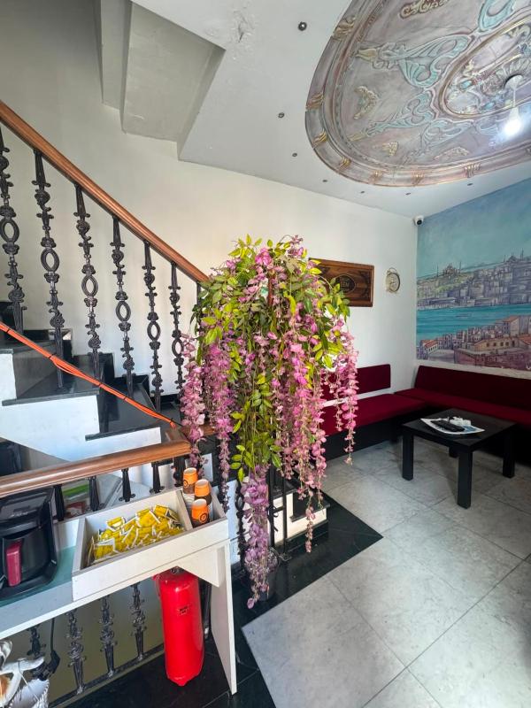 Taksim Luxury Sam Hotel - image 5