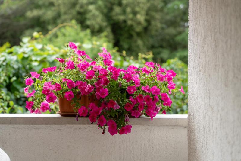 Modern apartment Sabina with nice garden - image 6