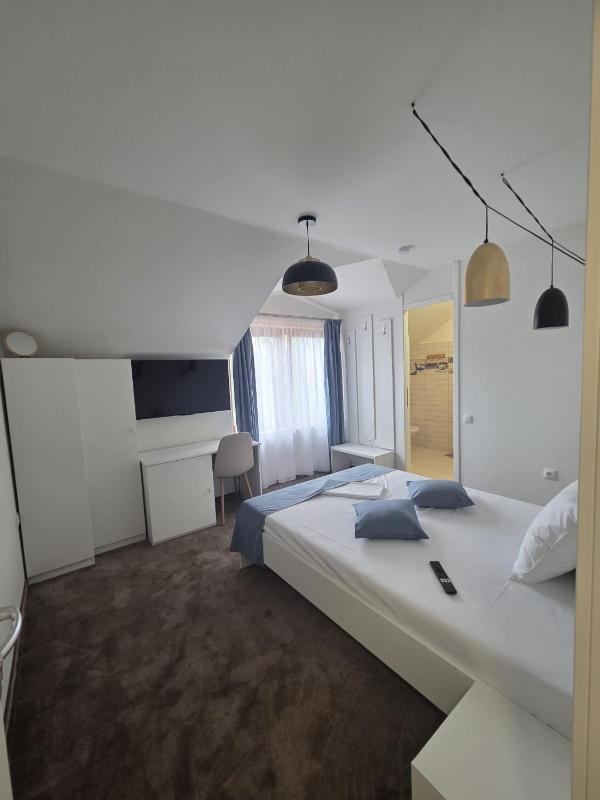Pensiunea Leia Sibiu - image 2