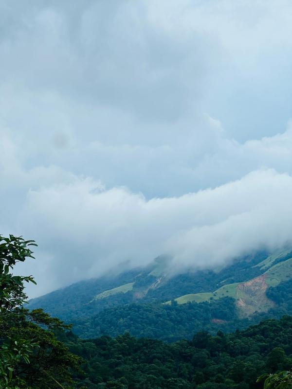 Coorg green valley Homestay and waterfalls - image 1