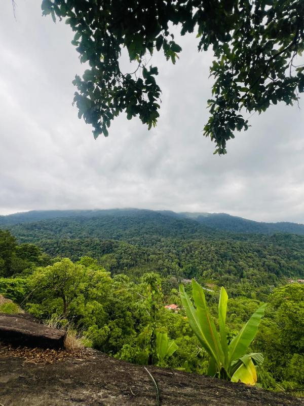 Coorg green valley Homestay and waterfalls - image 18