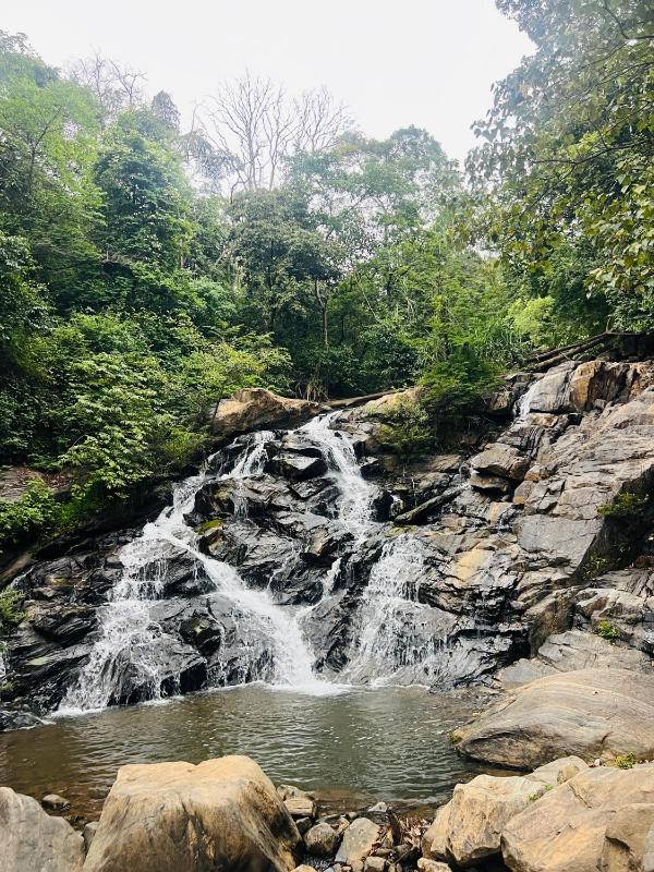 Coorg green valley Homestay and waterfalls - image 22