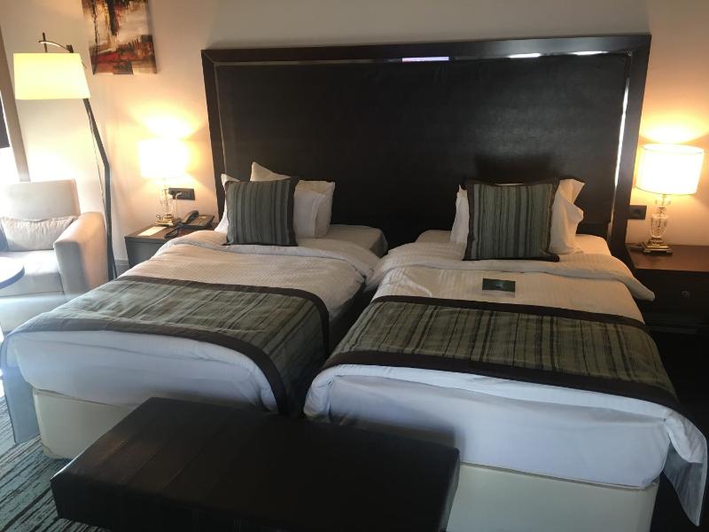 Standard Twin Room image 1