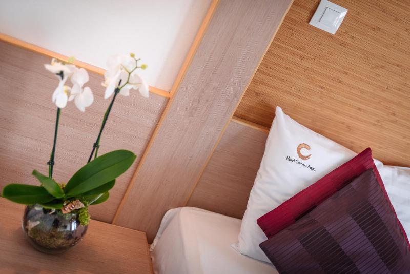 Superior Apartment image 2