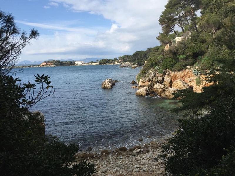 Deluxe Room (1 adult + 1 child) image 2