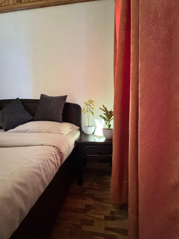 The Hill Aashray Spacious 2bhk Retreat Nainital - image 7