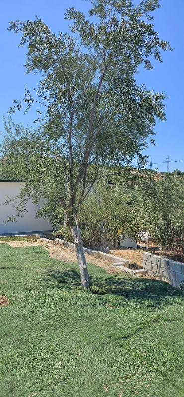 PH Olive Mountain Escape in Himarë - image 6