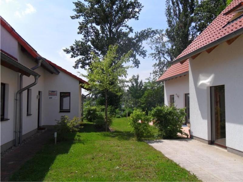 Gemütliches Ferienhaus mit Terrasse nahe dem Müritzsee in Rechlin - image 1