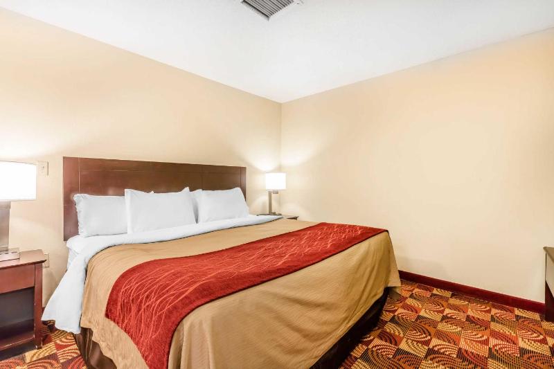 King Room with Sofa Bed - Non-Smoking image 2