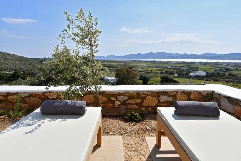 Luxury Paros Villa Villa Kallihroe Privacy & Luxury Private Pool - image 9