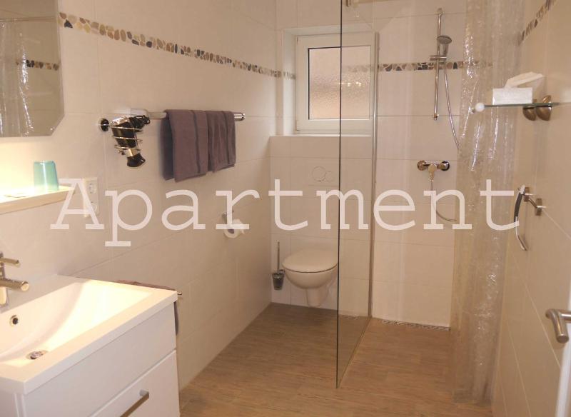 One-Bedroom Apartment image 2