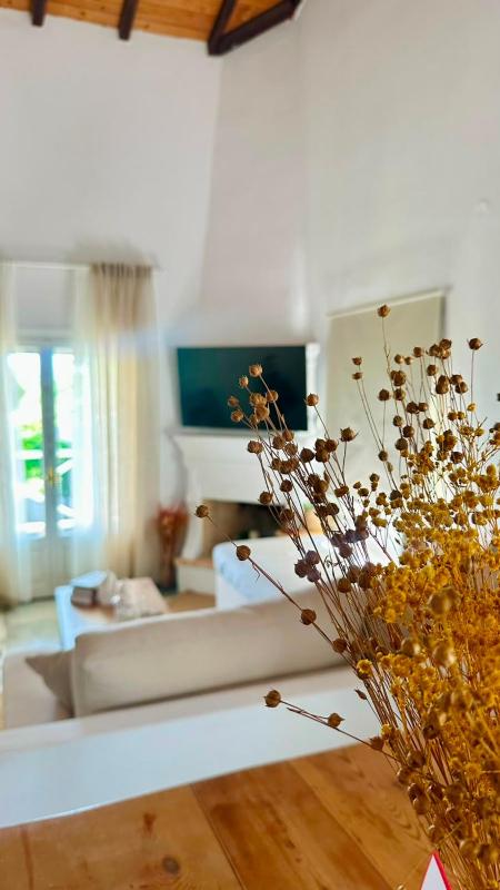 PS House Platanias - PS Rental - image 34