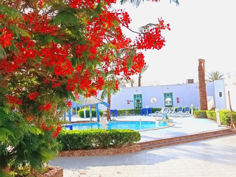 kanabesh hotel - image 40