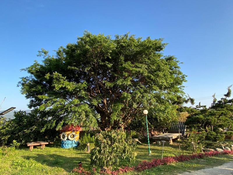 Du Du Hao B&B - image 4