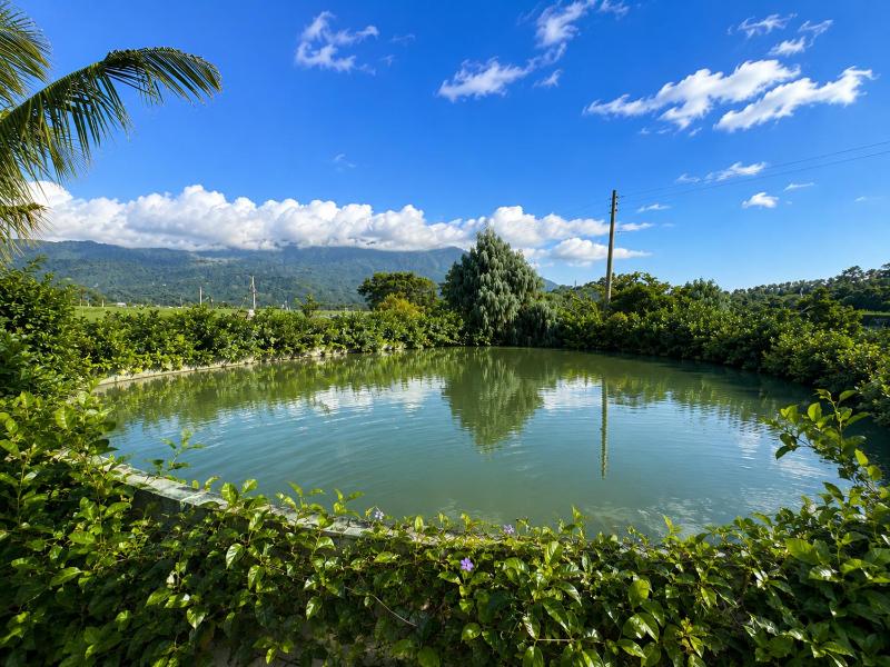 Du Du Hao B&B - image 14