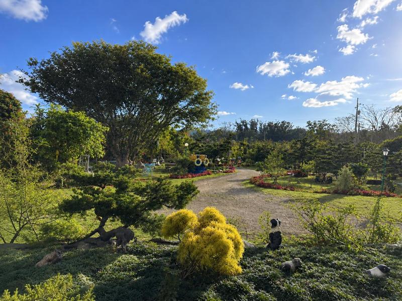 Du Du Hao B&B - image 2