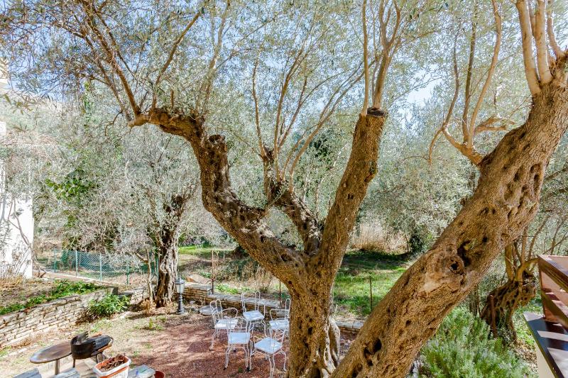 One-Bedroom Apartment with Garden View ( 4 Adults )  image 2