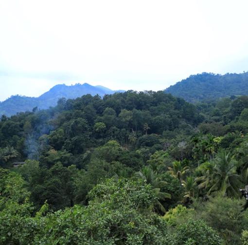 HILL SIDE RESORT - Ella - image 19